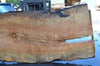 Big Leaf Maple Slab 092021-04