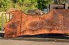 Oregon Black Walnut Slab 072122-09