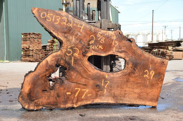 Oregon Black Walnut Slab 051322-04