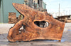 Oregon Black Walnut Slab 051322-04