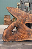 Oregon Black Walnut Slab 051322-04