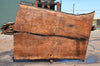 Oregon Black Walnut Slab 072522-01