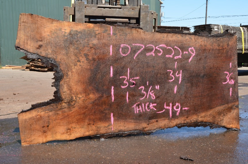 Oregon Black Walnut Slab 072522-09