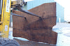 Oregon Black Walnut Slab 091622-01