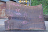 Oregon Black Walnut Slab 091622-01