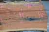 Red Oak Slab 120417-07